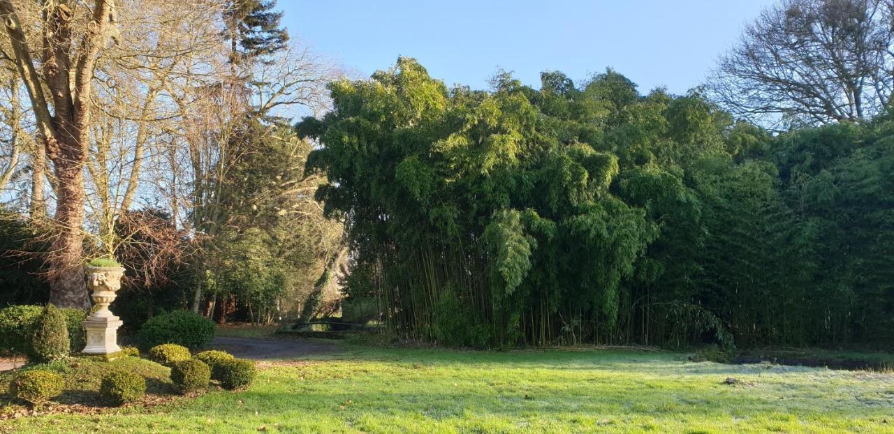 La Villa des Arts Savigne-l'Eveque Extérieur photo